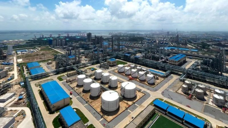 广东塑料原料厂家选材：关注合规与性能双重标准**